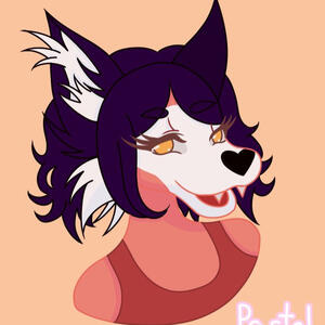 ✧